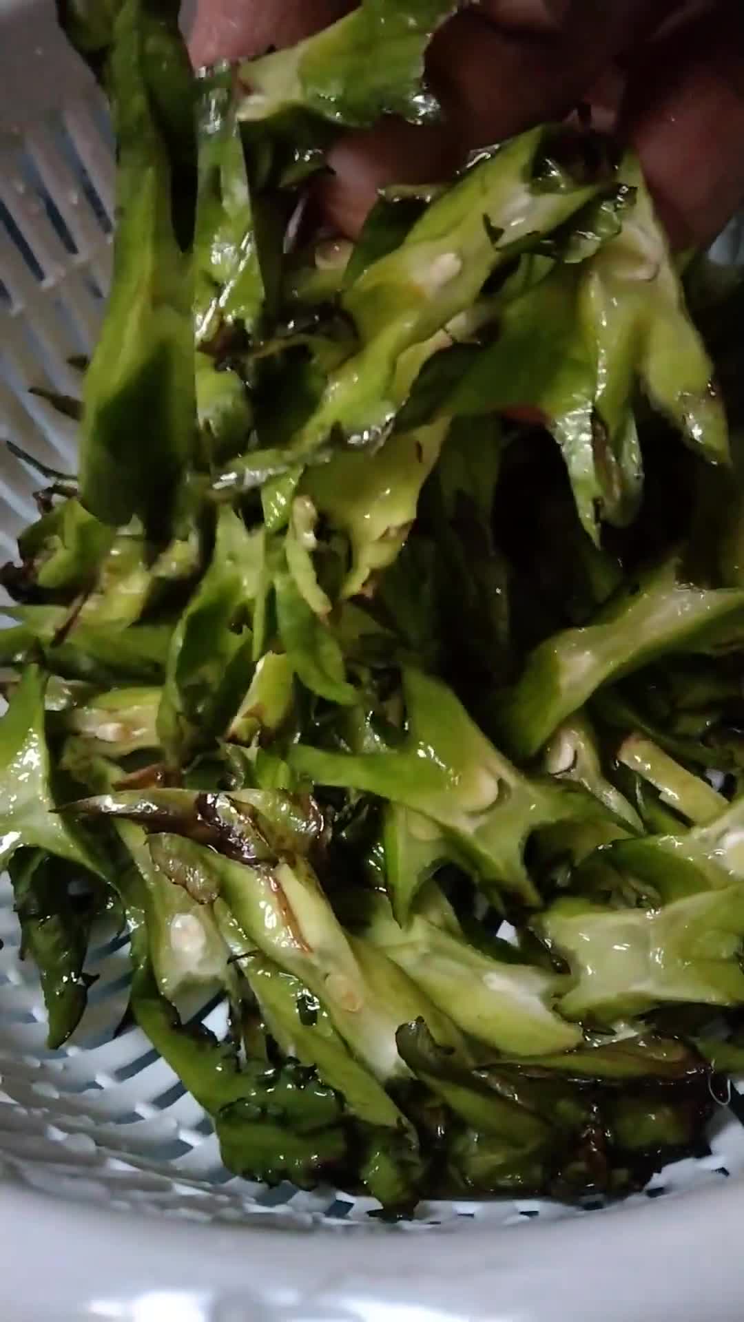 Gambar langkah 1 resipi Kacang botol goreng.