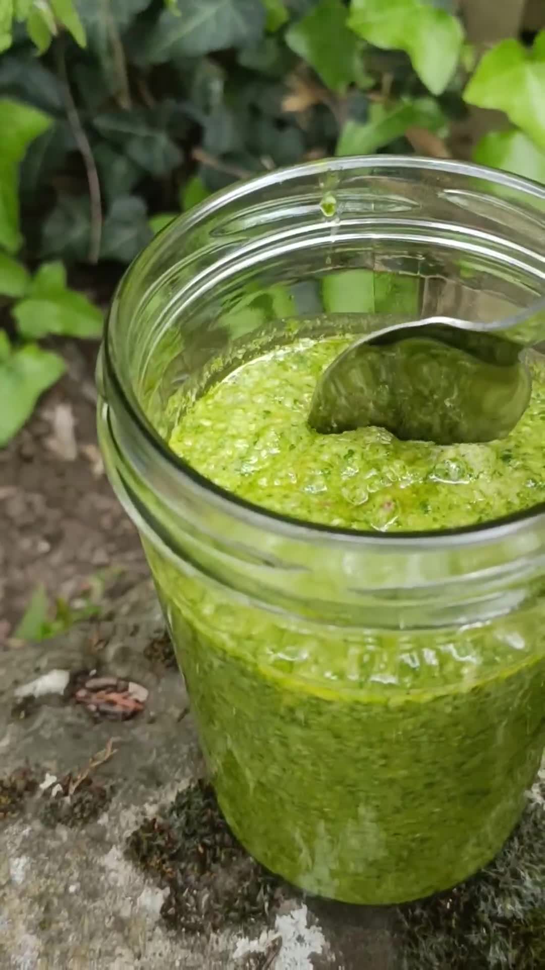 Une image de l'étape 4 de 🌱Pesto fanes de radis.