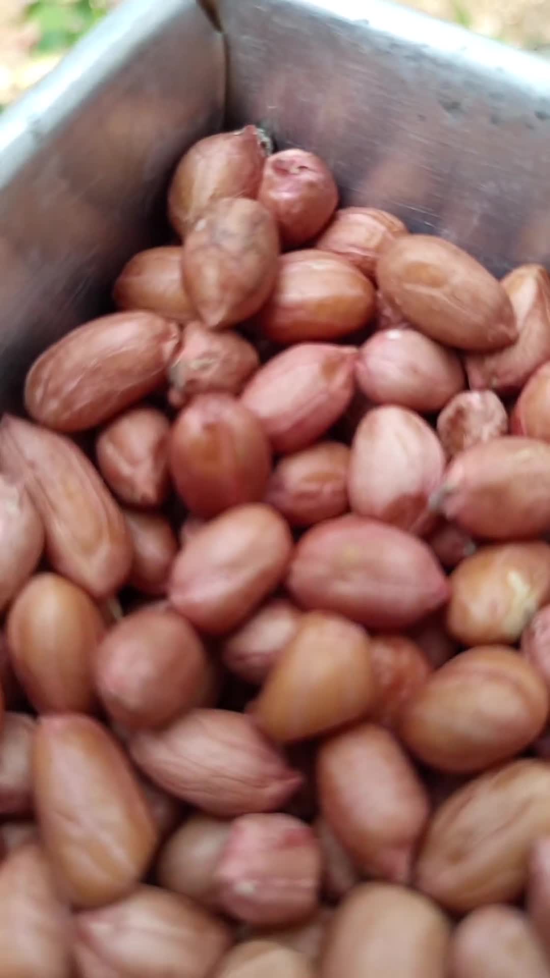 Foto langkah ke 1 dari resep Saos Kacang.