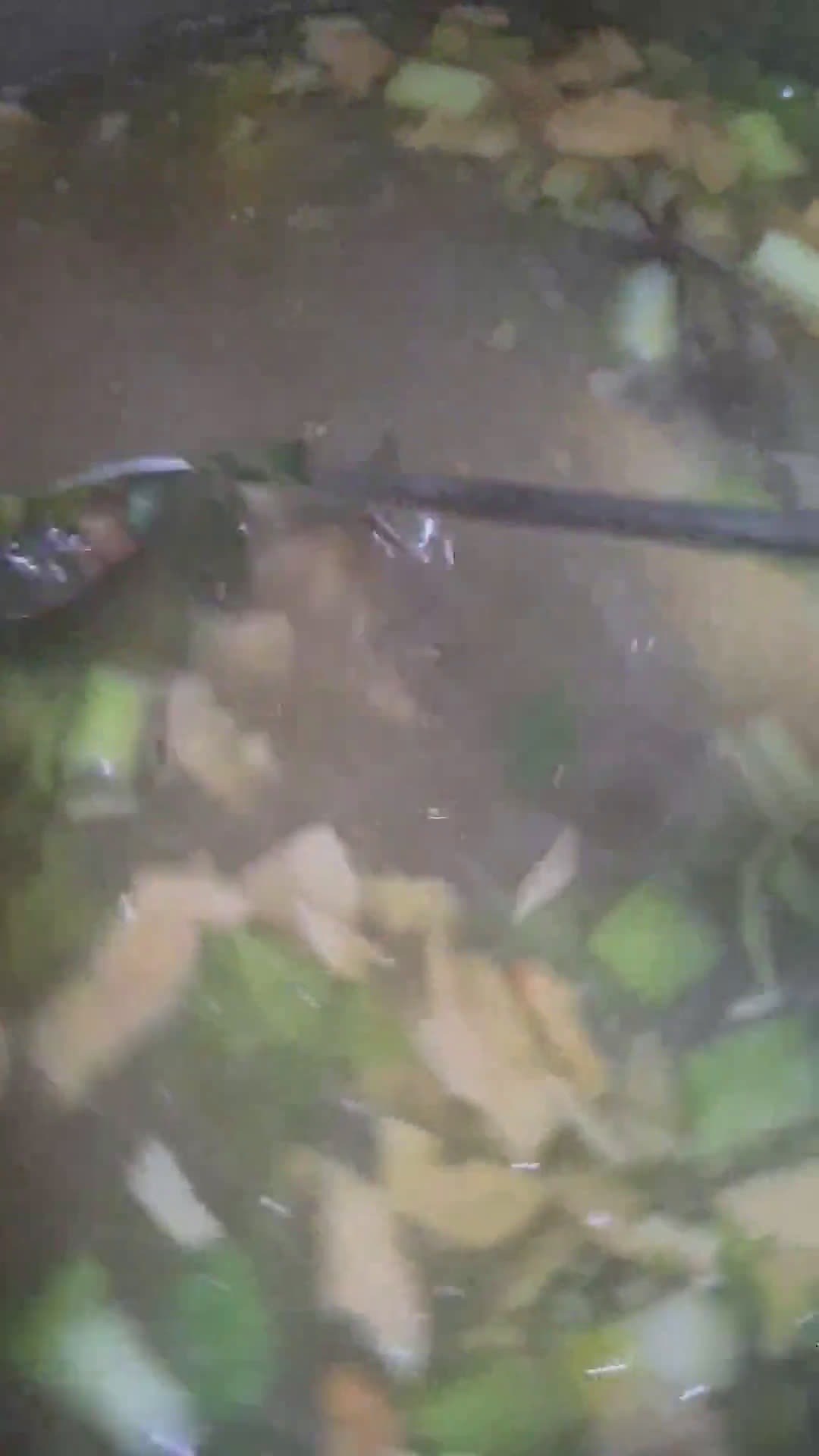 Foto langkah ke 3 dari resep Soto Seger Boyolali (kuah bening).