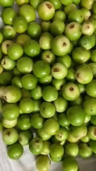 ગુંદાનું અથાણું (Gunda Athanu Recipe In Gujarati) રેસીપી સ્ટેપ1ફોટો