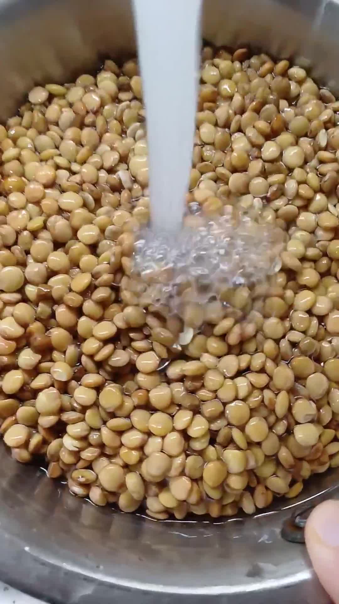 Foto del paso 2 de la receta: Tofu de lentejas sin soja