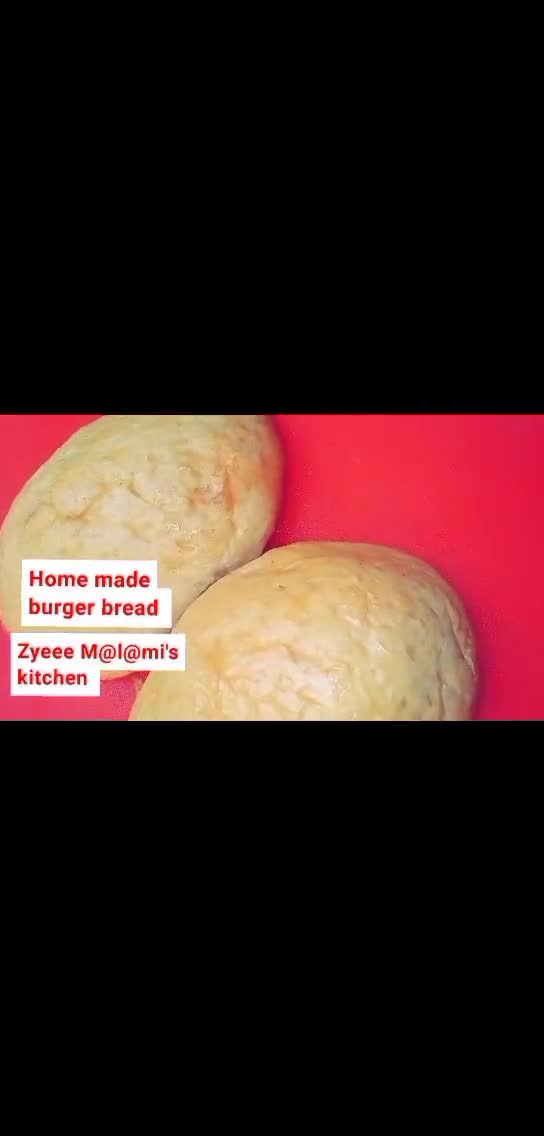 Home made burger breadmatakin girki4 hoto