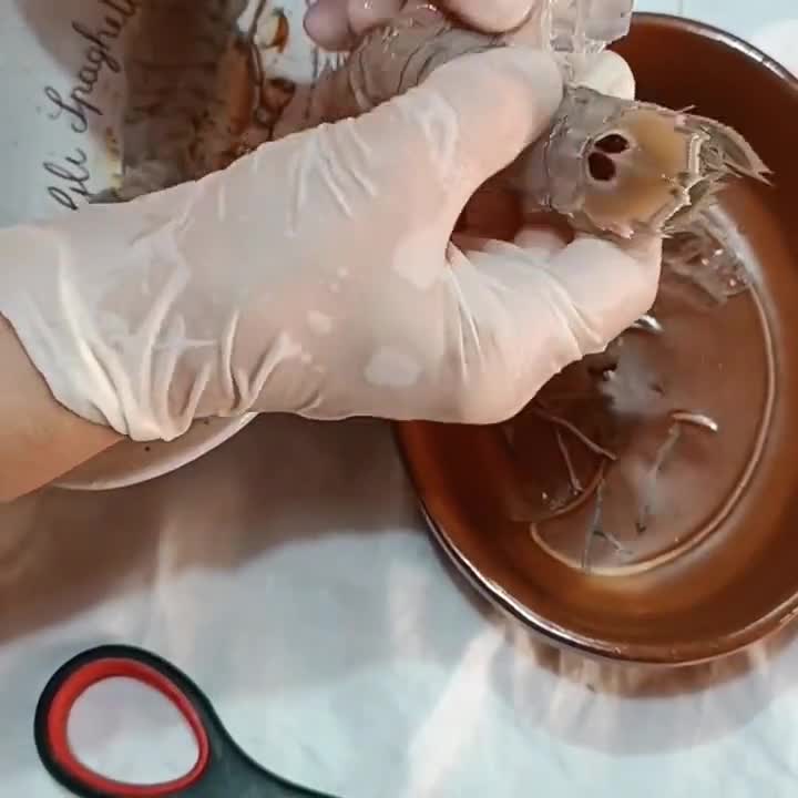 Foto del passaggio 2 della ricetta Spaghetti venere con sugo di cicale