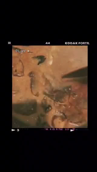 Foto langkah ke 4 dari resep Rendang daging sapi.