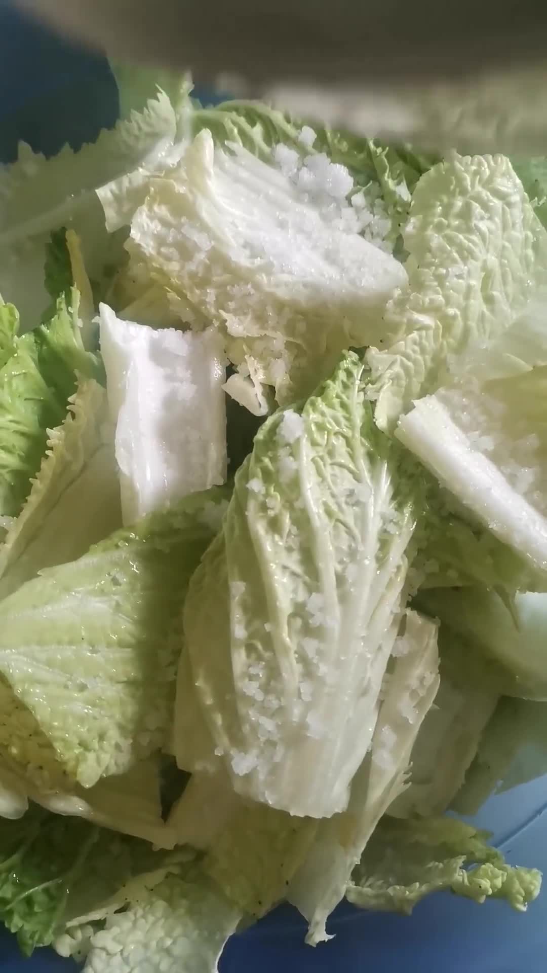 Gambar langkah 2 resipi Kimchi Mudah.
