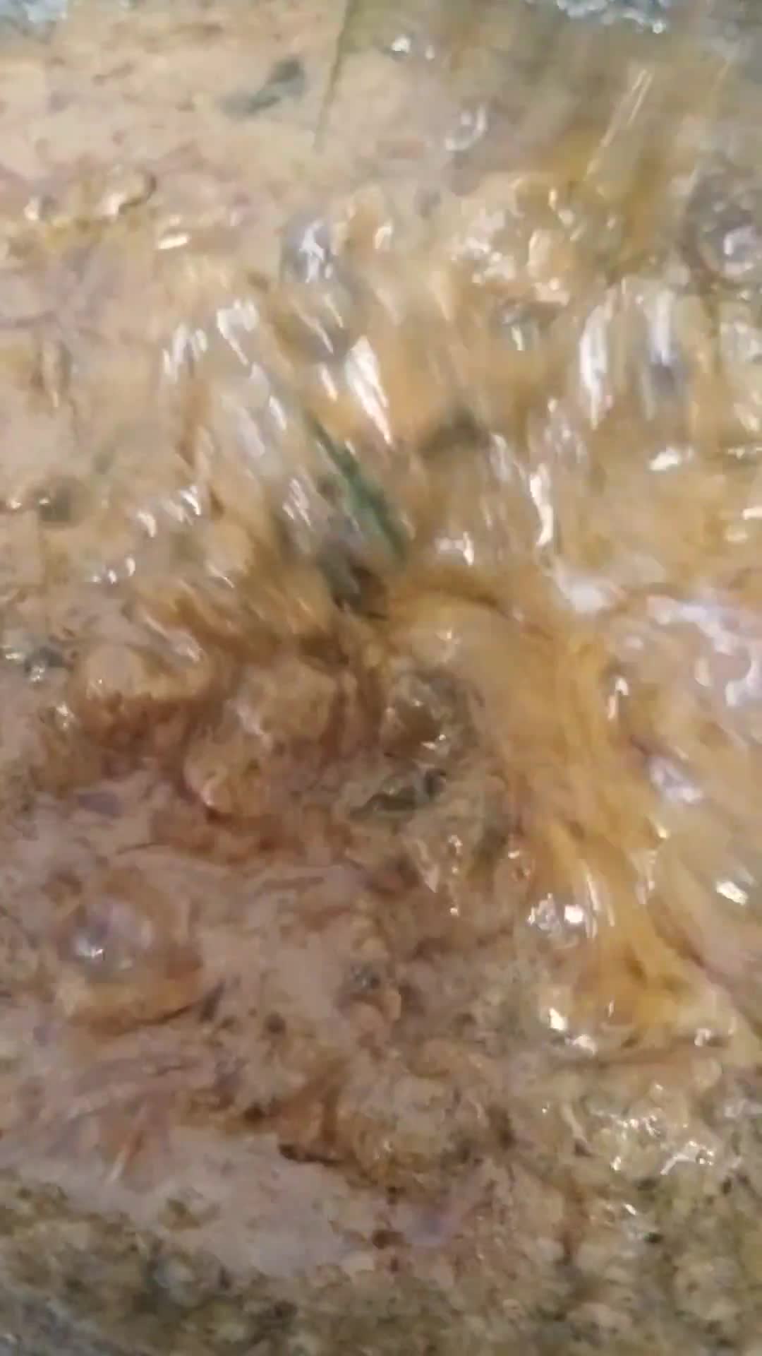 Gambar langkah 4 resipi Rendang kerang.