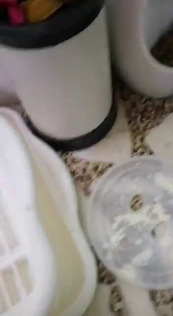 Foto del paso 2 de la receta: Manteca casera