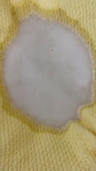 Foto del paso 2 de la receta: Leche de avena