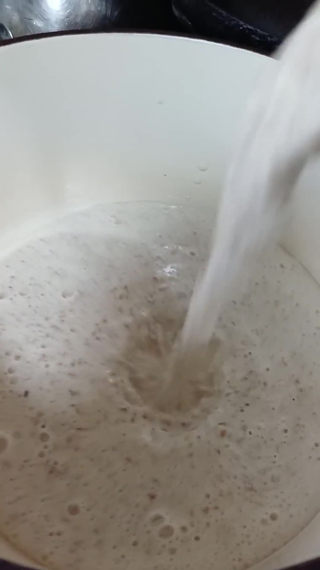 Foto del paso 4 de la receta: Tofu de lentejas sin soja
