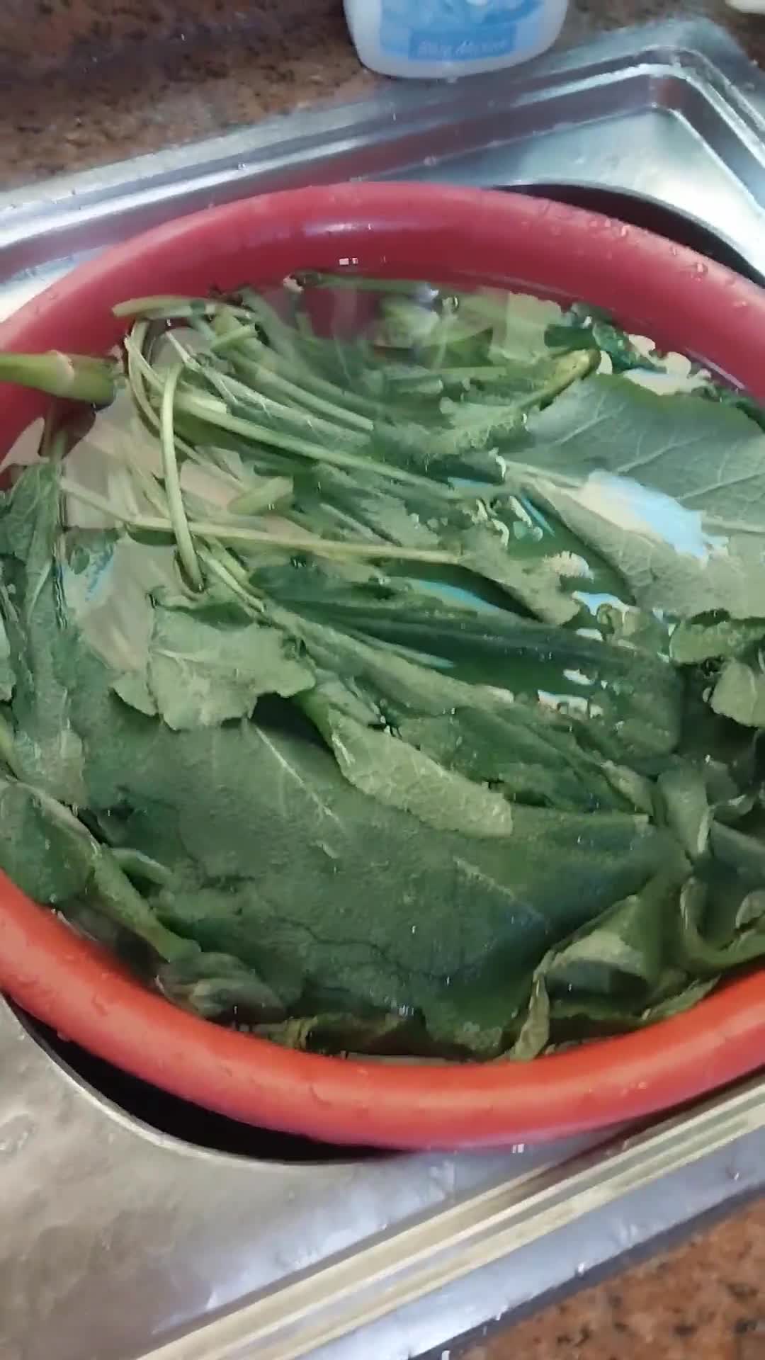 صورة لخطوة 1 من وصفة محشي ورق اللسان