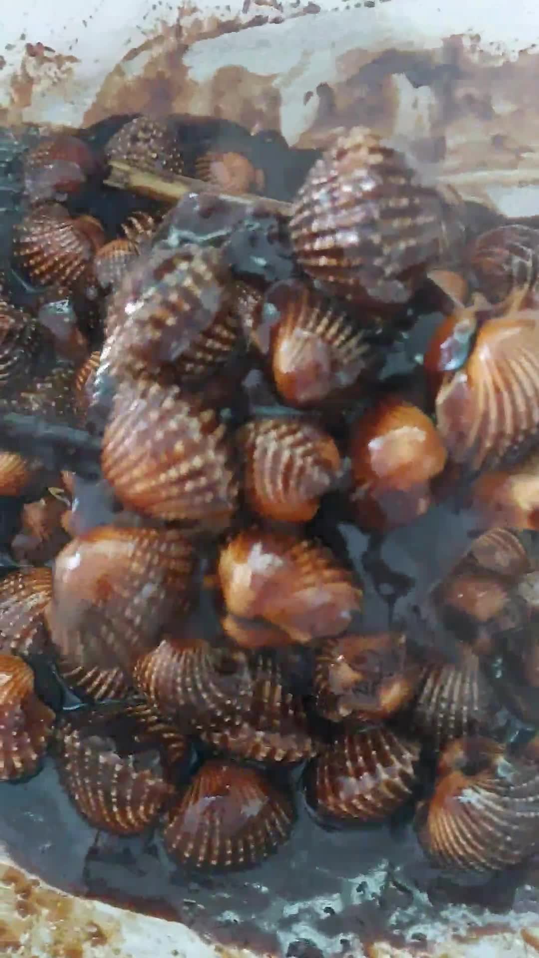 Gambar langkah 11 resipi Kerang masak kicap pekat likat.