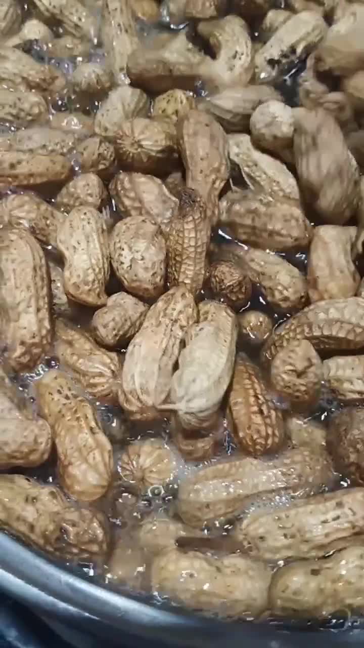 Foto langkah ke 3 dari resep Kacang Tanah Rebus.
