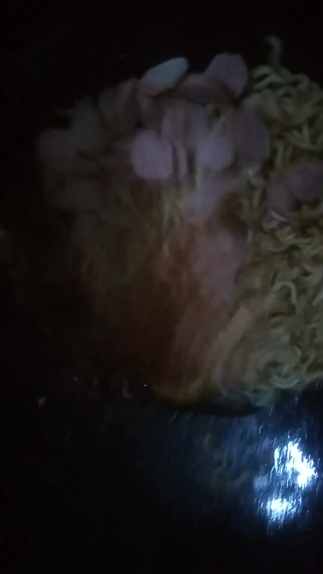 Foto langkah ke 9 dari resep Nasbent BAT Lumpia Mie Telur Sosis JALETOT (kulit tahu).