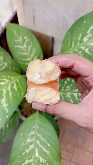 Foto langkah ke 7 dari resep Donat Tanpa Kentang🍩.