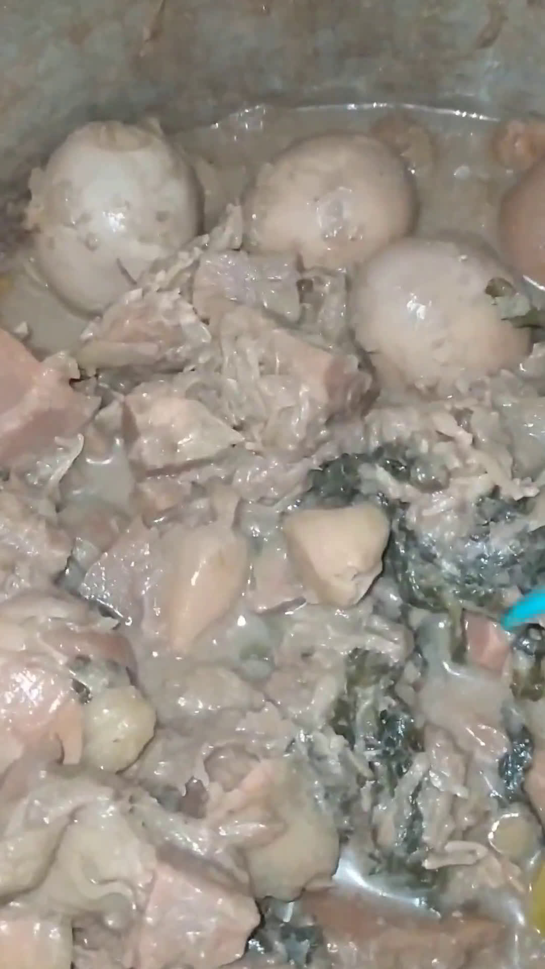Foto langkah ke 6 dari resep Gudeg Yogya Daun Jati pakai Panci Presto (new modified recipe).