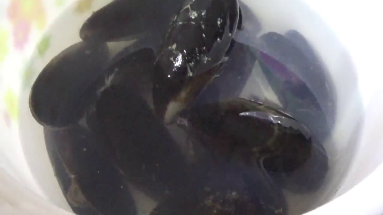 Foto del paso 1 de la receta: Mejillones