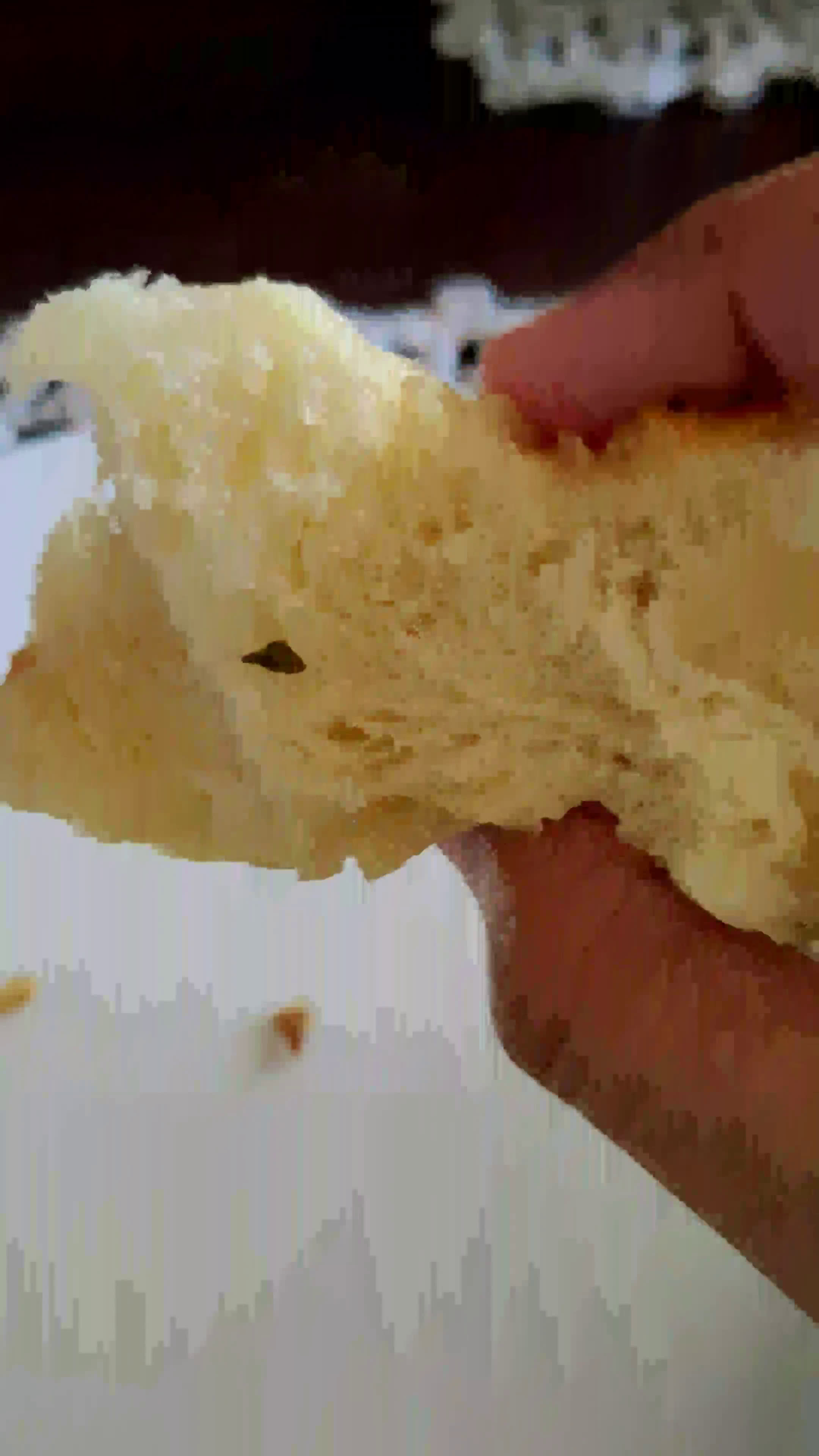 Foto langkah ke 5 dari resep Mozzarella Bread.