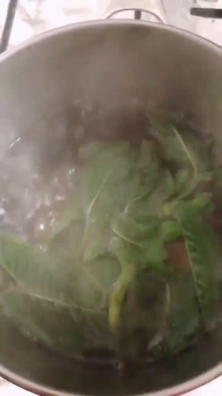Une image de l'étape 3 de Jus citron menthe🍋fraicheur d'été.