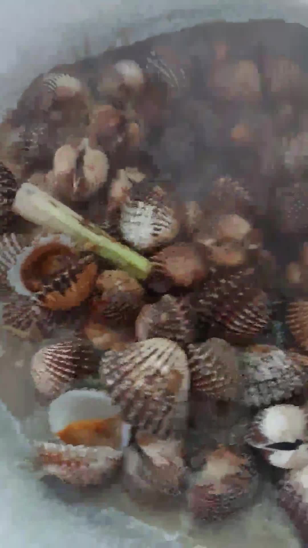 Gambar langkah 8 resipi Kerang masak kicap pekat likat.