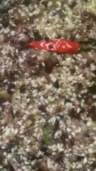Une image de l'étape 8 de Risotto🌾forestier🪵🍂champignons🍄châtaignes🌰🌰.