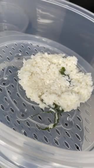 Foto langkah ke 5 dari resep 127. Ketan Serundeng.