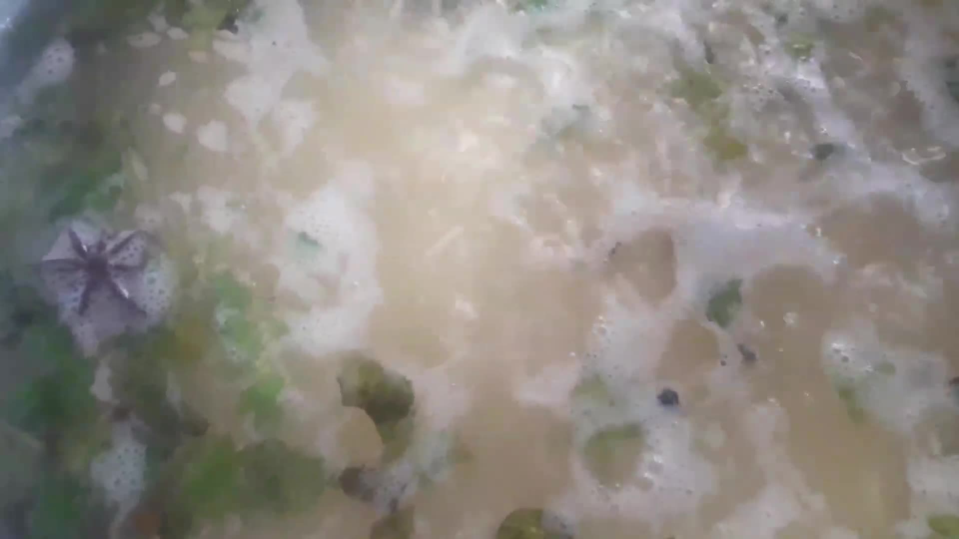 हैदराबादी चना दाल क़ुबुली(Hyderabadi chana dal qubooli recipe in hindi) रेसिपी चरण 6 फोटो