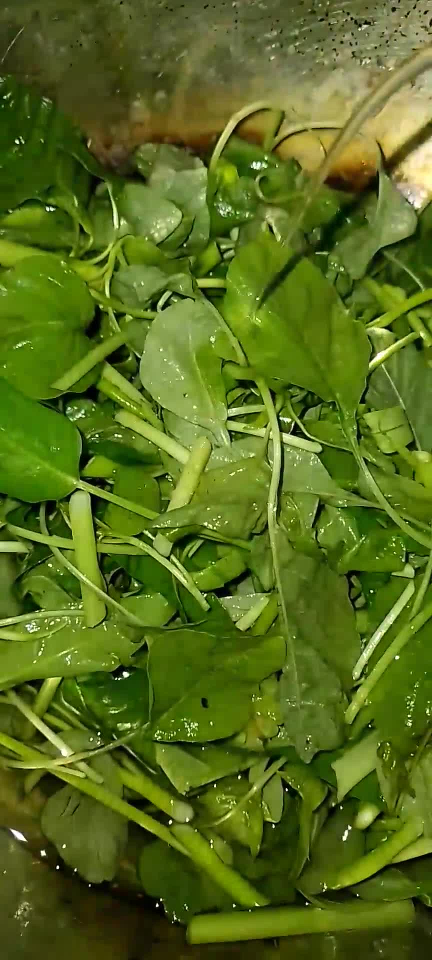 Foto langkah ke 3 dari resep Menu sederhana.