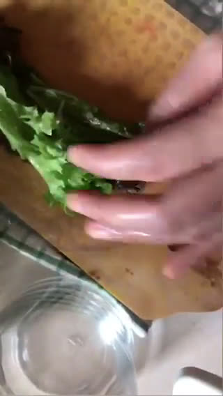 Foto langkah ke 4 dari resep Vietnamese spring roll vegetable shrimp.
