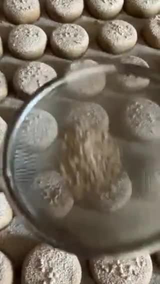 Foto del paso 14 de la receta: Polvorones de canela. Tradición navideña!!
