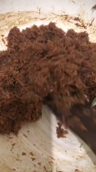 Foto langkah ke 3 dari resep Unti Kelapa.