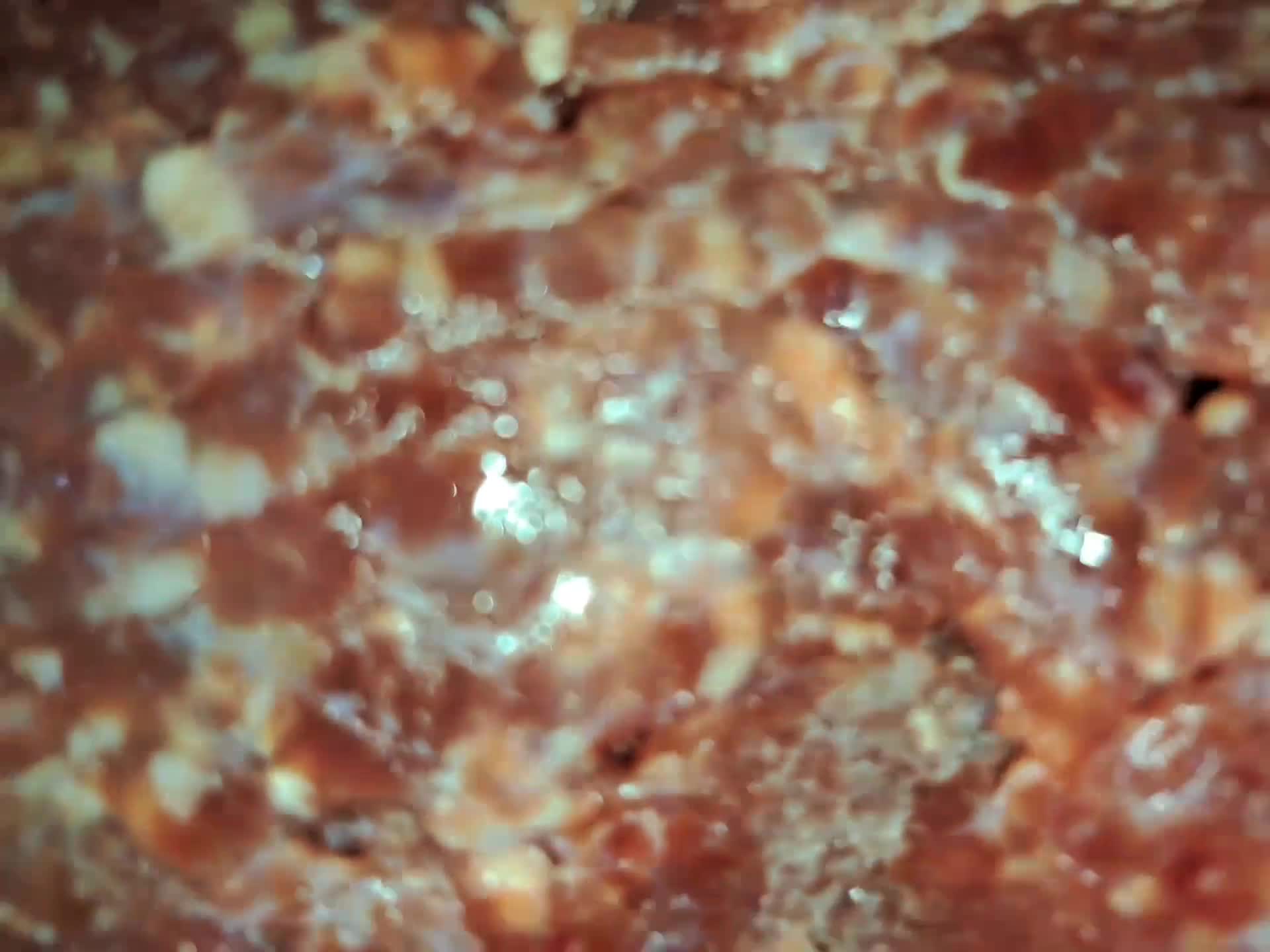 Foto del paso 1 de la receta: Pasticho ♡