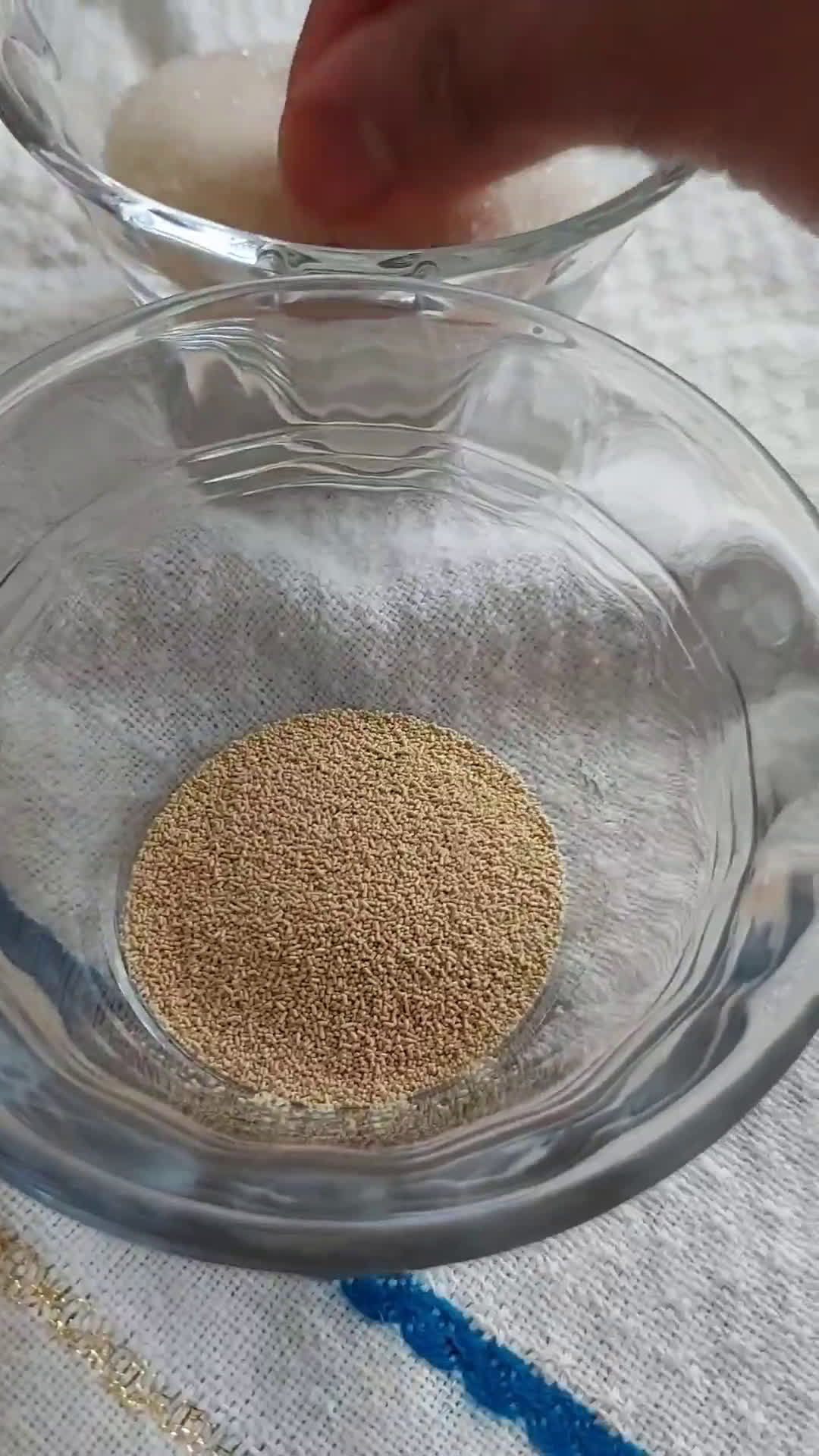 Foto del paso 1 de la receta: Conchas de vainilla