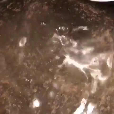 Foto langkah ke 2 dari resep Bakso Sehat No MSG.