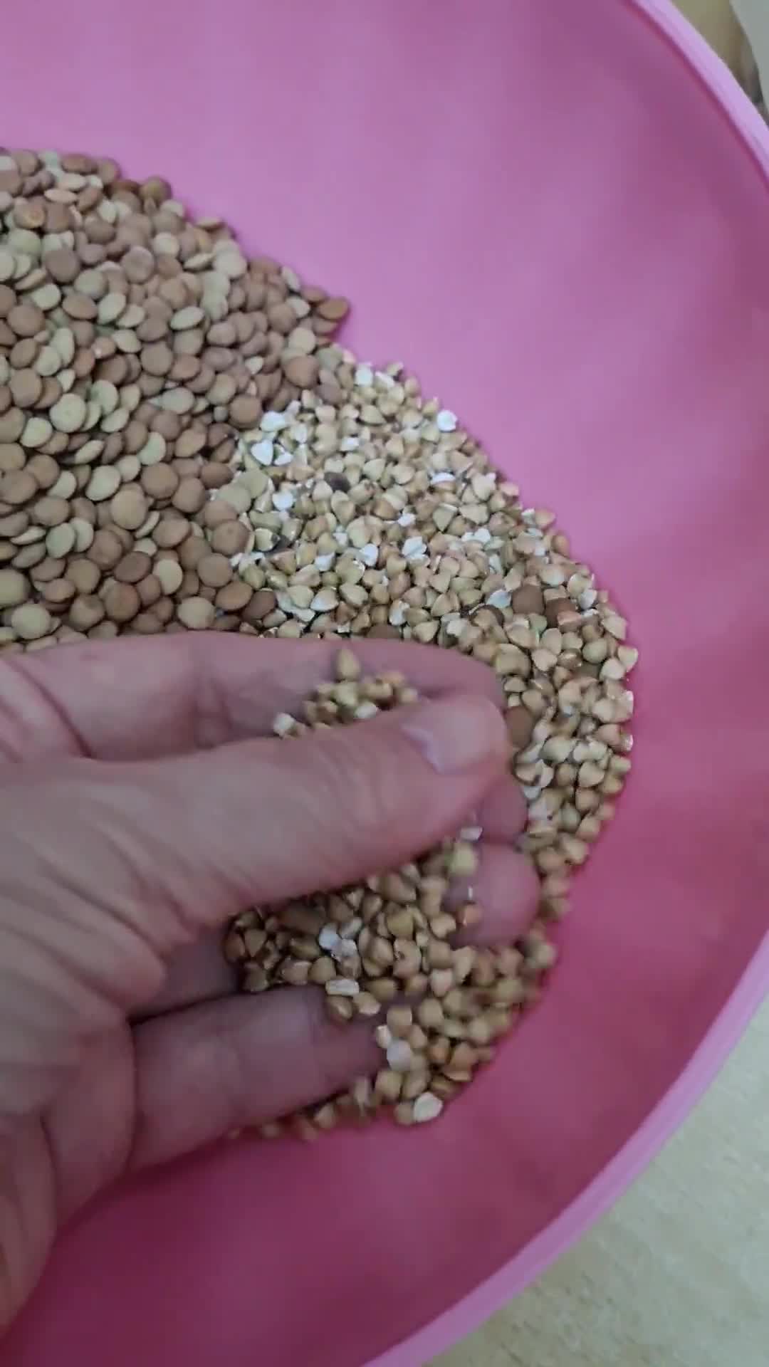 Foto del paso 1 de la receta: Pan de granos de trigo sarraceno y lentejas 🌱 Pan sin harina, sin levadura 🌱 larga fermentación 🌱