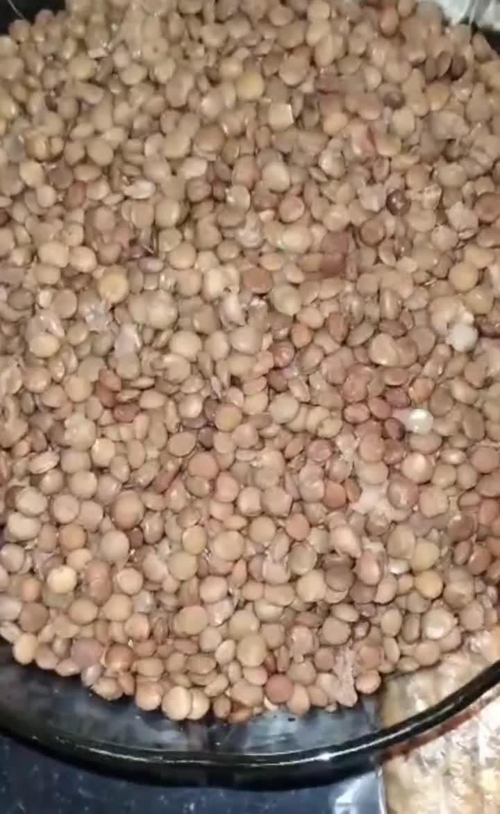 Foto del paso 2 de la receta: Hamburguesas y albóndigas de lentejas y avena