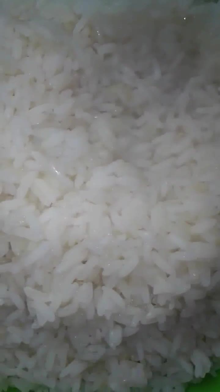 Jellop ricematakin girki3 hoto