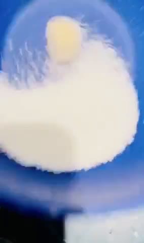 Foto del paso 3 de la receta: Beijinhos de coco