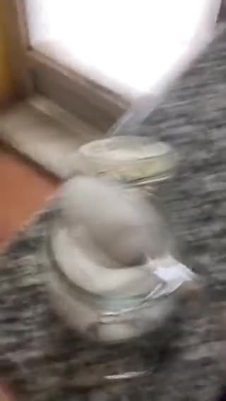 Foto del paso 8 de la receta: Conejo con tomate y pimientos