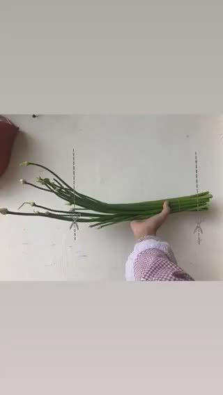 Foto langkah ke 1 dari resep 96. Kaneh Tombak Bawang.