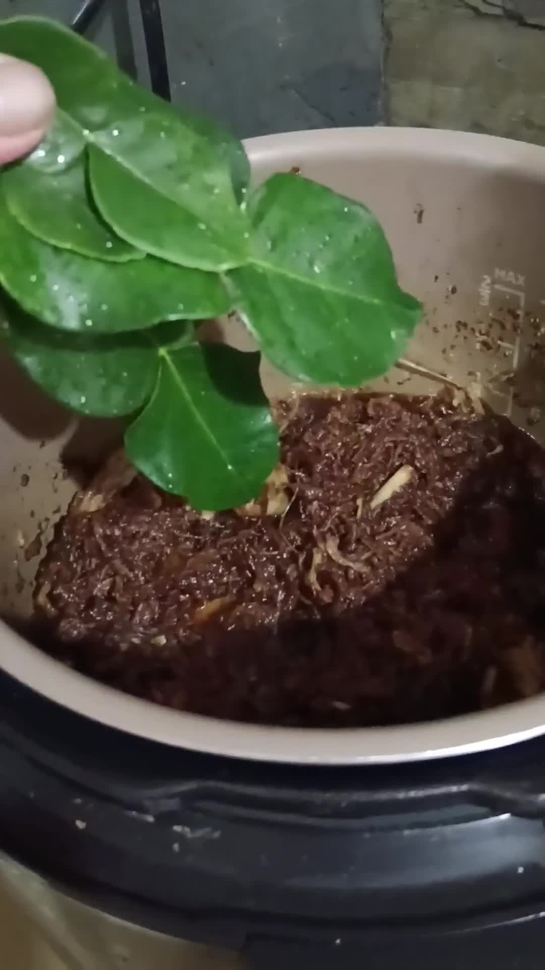 Gambar langkah 3 resipi 24:8:23 - Daging dendeng kering.