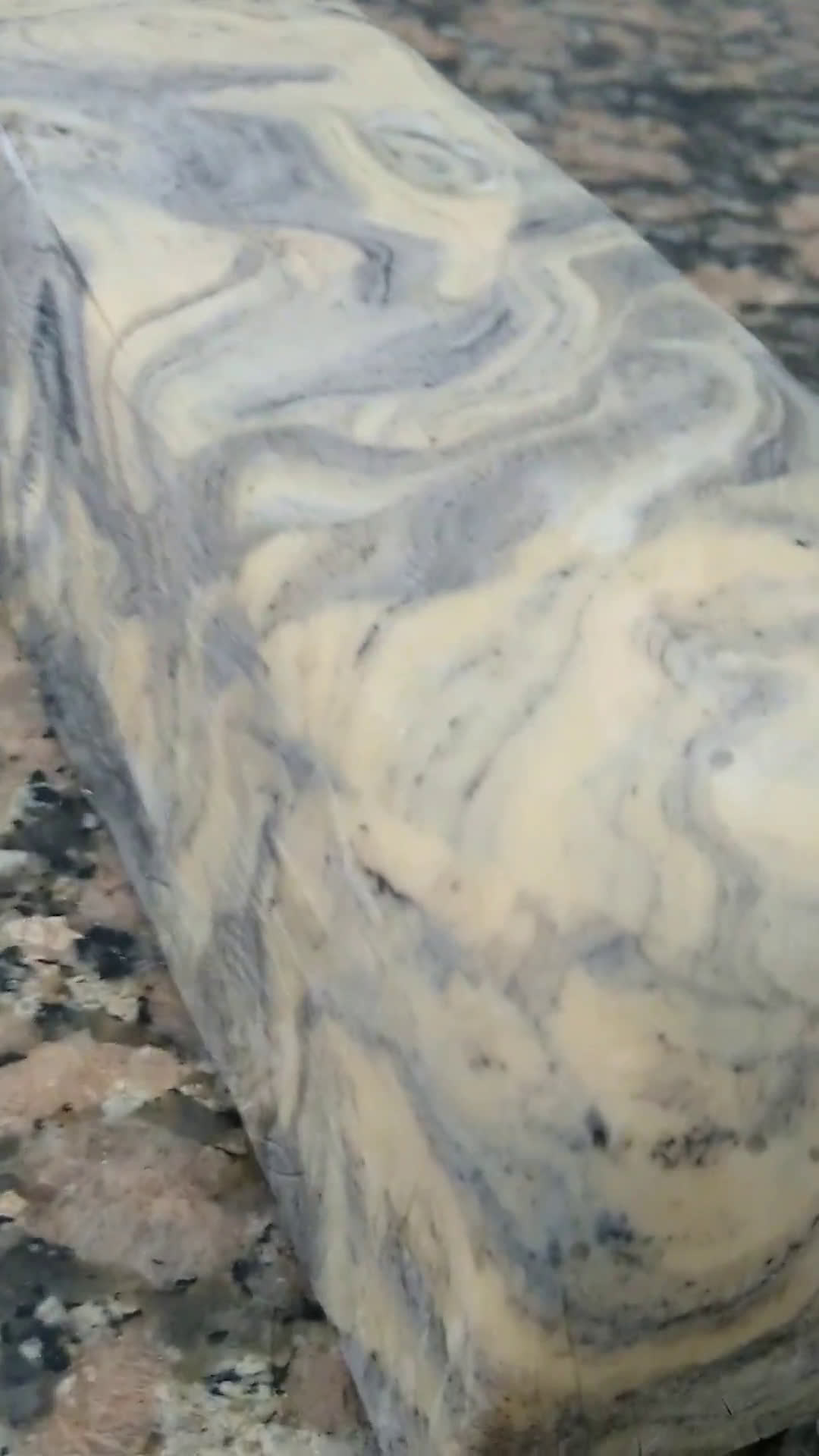 Foto del paso 1 de la receta: Moldeado marmolado de pasta de Maní (estilo mantecol)