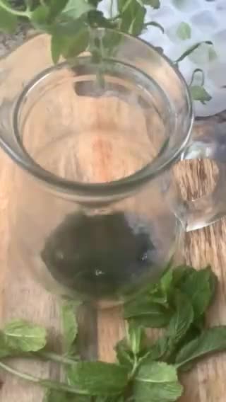 Une image de l'étape 8 de 🍃Sirop 🫗menthe🌿recette facile🥄🌱🥄.