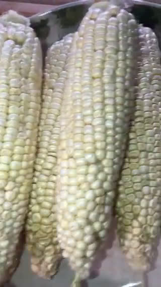 Foto del paso 1 de la receta: SOPA DE ELOTE ESTILO “MAMI CHELO”