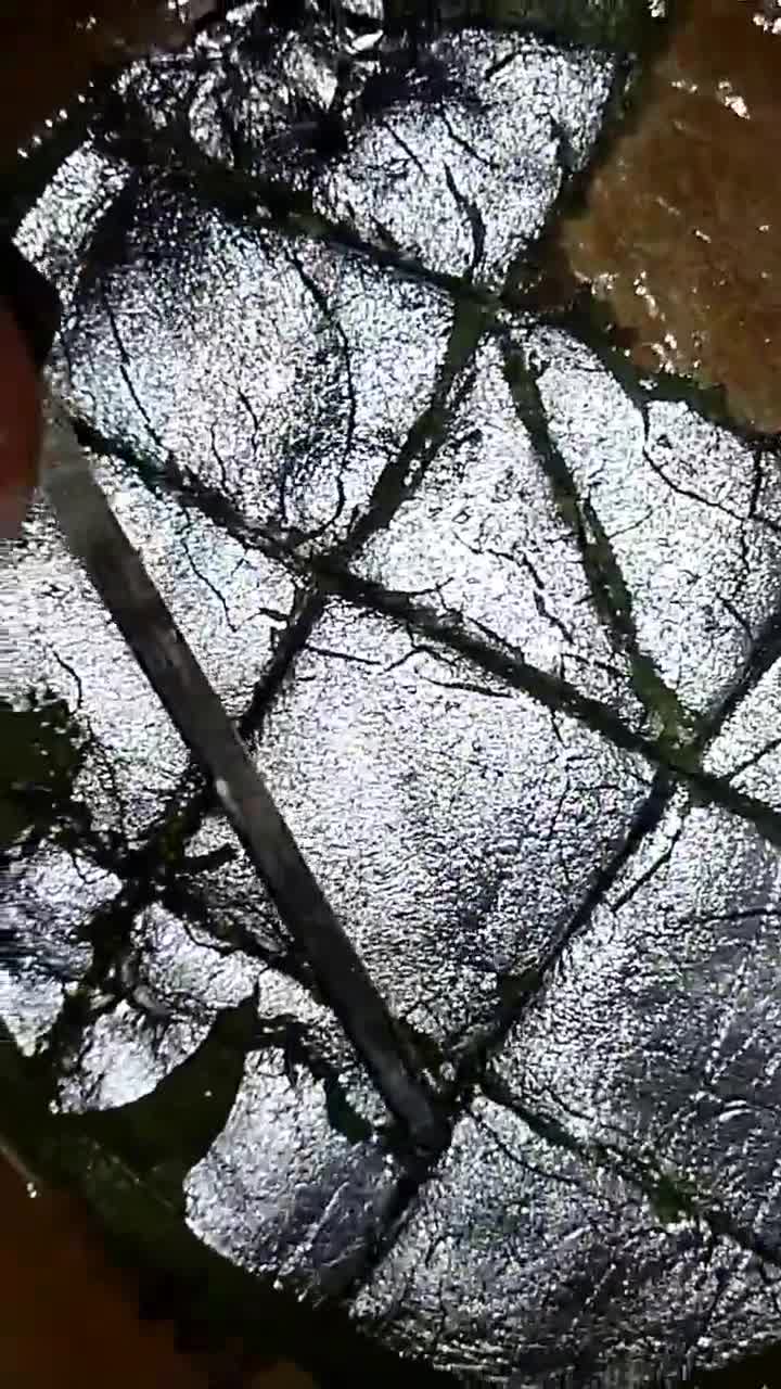 काजू~पान~गुलकन्द गिलौरी रेसिपी चरण 10 फोटो