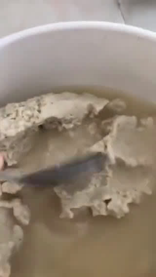 Foto del paso 8 de la receta: Amarillo de camarón (Mole)
