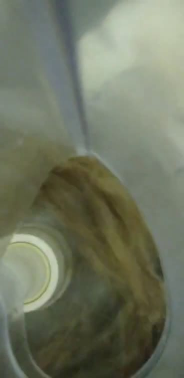 Une image de l'étape 1 de Cake au noix.