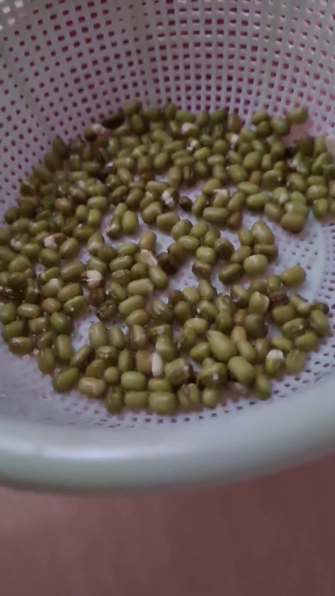 Foto del paso 2 de la receta: Brotes de mungo (mal llamados brotes de soja) 🌱 🫘