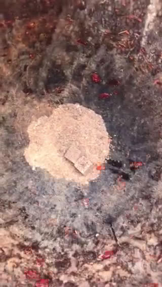 A picture of step 5 of Miyan wake da kubewa (tosun yala).