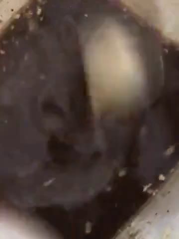A picture of step 4 of Hot n sour soup.